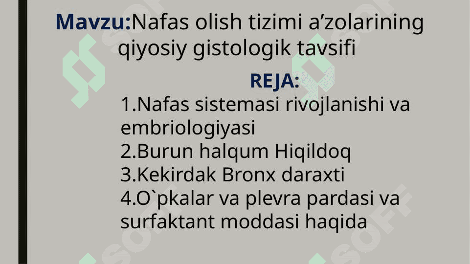 Nafas olish tizimi aʼzolarining qiyosiy gistologik  tavsifi 2