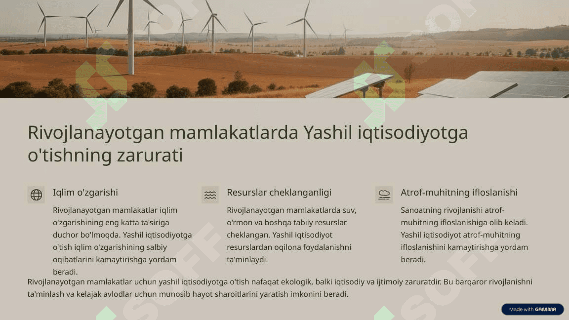 Rivojlanayotgan mamlakatlarda Yashil iqtisodiyotga o'tish tajribasi 3