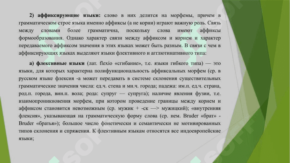 Типологическая классификация языков 4