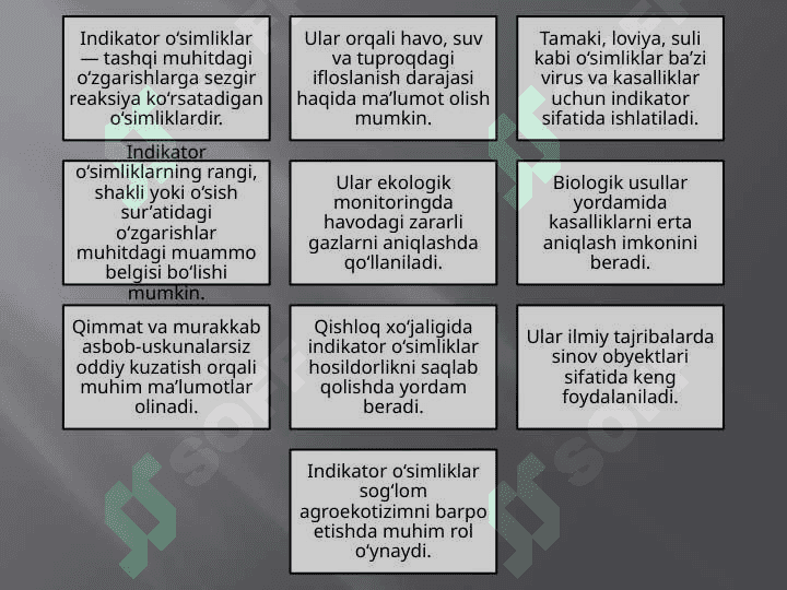 Indikator oʻsimliklar orqali oʻsimlik kasalliklarini aniqlash 5