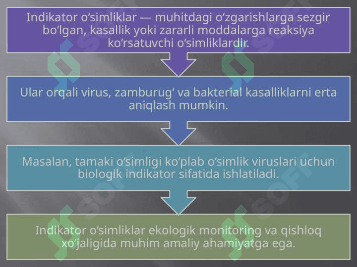 Indikator oʻsimliklar orqali oʻsimlik kasalliklarini aniqlash 6
