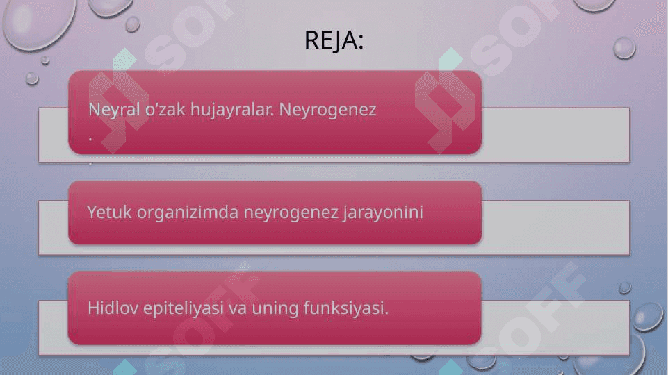 Neyral o'zak hujayralar haqida tushuncha. Yetuk organizmda neyrogenez. Hidlov epeteliysi,gippokamp. Neyral o'zak hujayralar dinamikasi 2