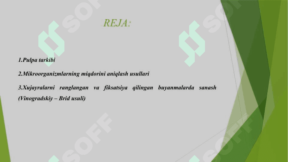 TEMIR VA OLTINGUGURT OKSIDLOVCHI ATSIDOFIL BAKTERIYALAR ASSOTSIYAATSIYASINING OQSIL BUYICHA BIOMASSASINI ANIQLASH 2