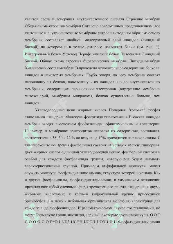Строение и функции биологической мембраны.docx 8