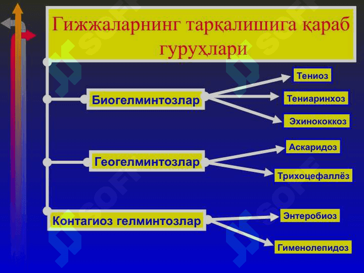 Гижжа касалликлари 5