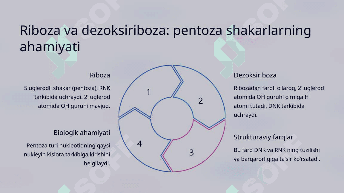 Nukleozidlar va nukleotidlar. Hayotning asosiy tuzilish bloklari 4