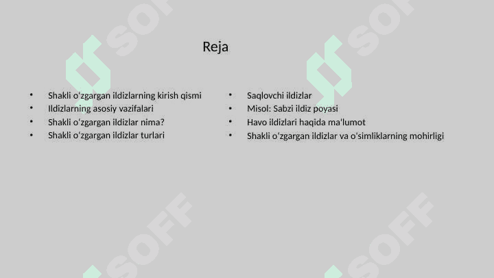 Shakli oʻzgargan ildizlarning tuzilishi 2