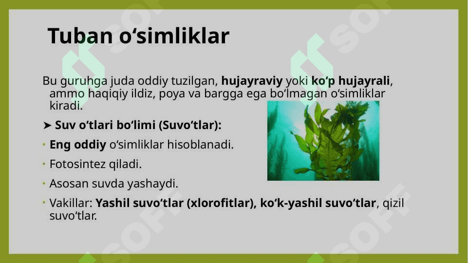 O’simliklarning asosiy bolimlari va hayotiy shakllari 5
