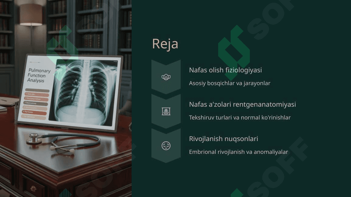 Nafas olish jarayoni. Nafas a’zolarining rentgenanatomiyasi va rivojlanish nuqsonlari 2