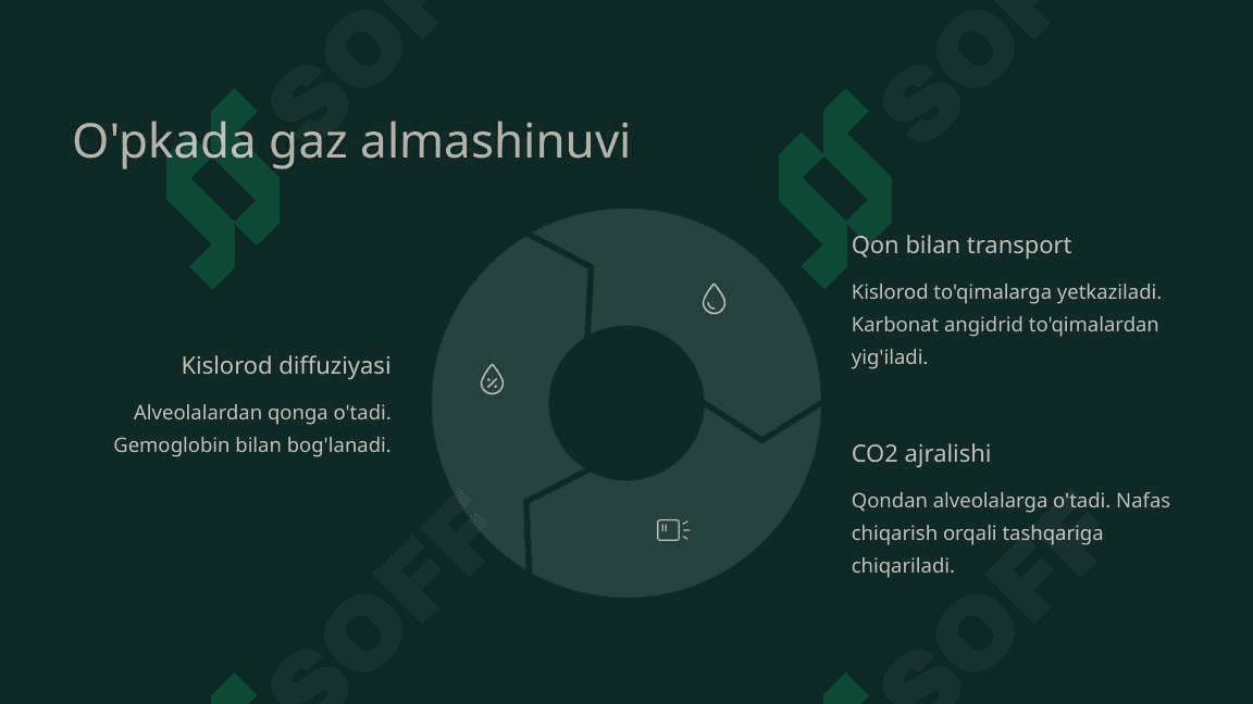 Nafas olish jarayoni. Nafas a’zolarining rentgenanatomiyasi va rivojlanish nuqsonlari 6