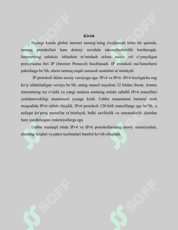 IPv4 va IPv6 protokollari va ularning paket strukturalari 3