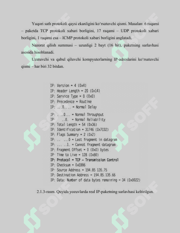 IPv4 va IPv6 protokollari va ularning paket strukturalari 7