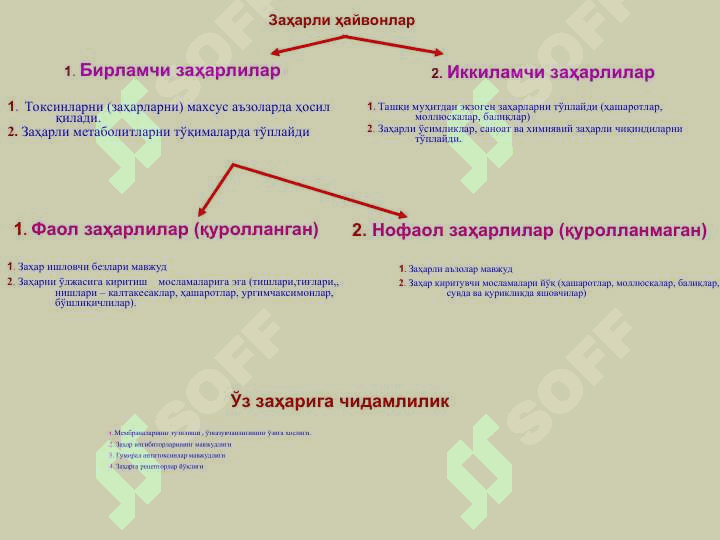 Захарли ҳайвонлар. 3