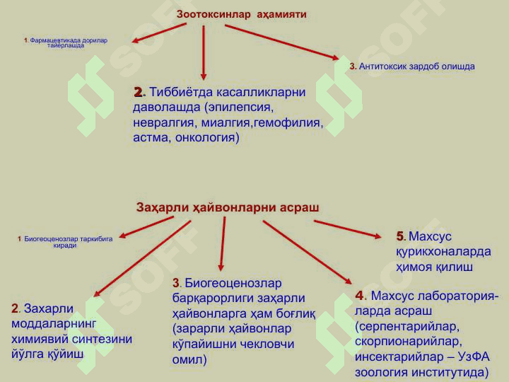 Захарли ҳайвонлар. 7