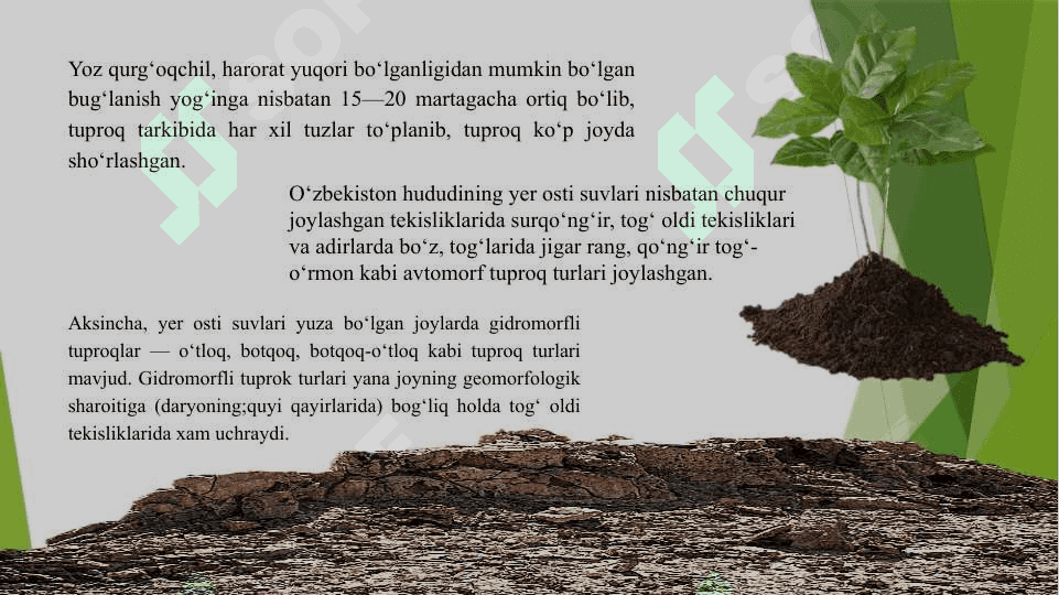 O‘ZBEKISTONNING TUPROQ, O‘SIMLIK VA HAYVONOT OLAMI 2