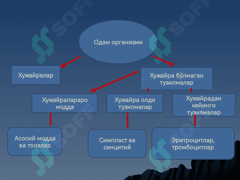 ЦИТОЛОГИЯ 3
