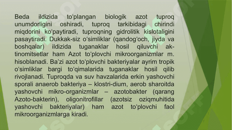 Azotfiksator mikroorganizmlari va ularning tarqalishi 2