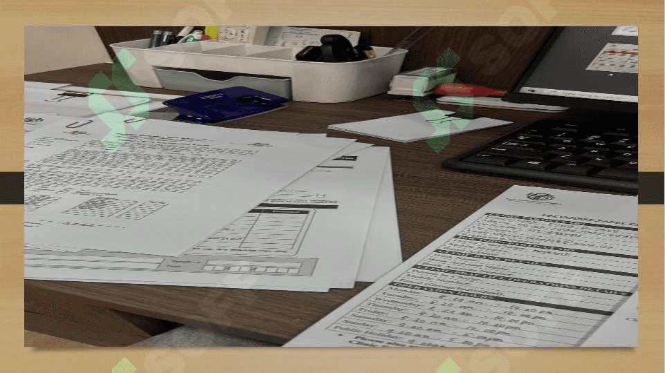 PRELIMINARY DOCUMENTS 4