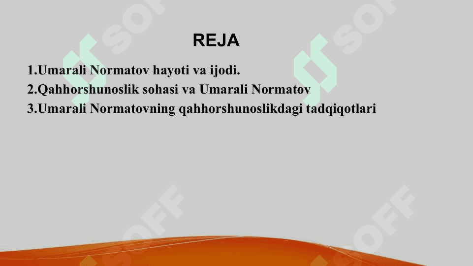 U.Normatov qaxxorshunos olim 2