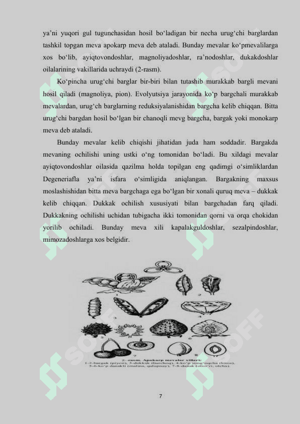 Urug‘ va mevalarning tarqalishining moslashish xususiyatlari 7