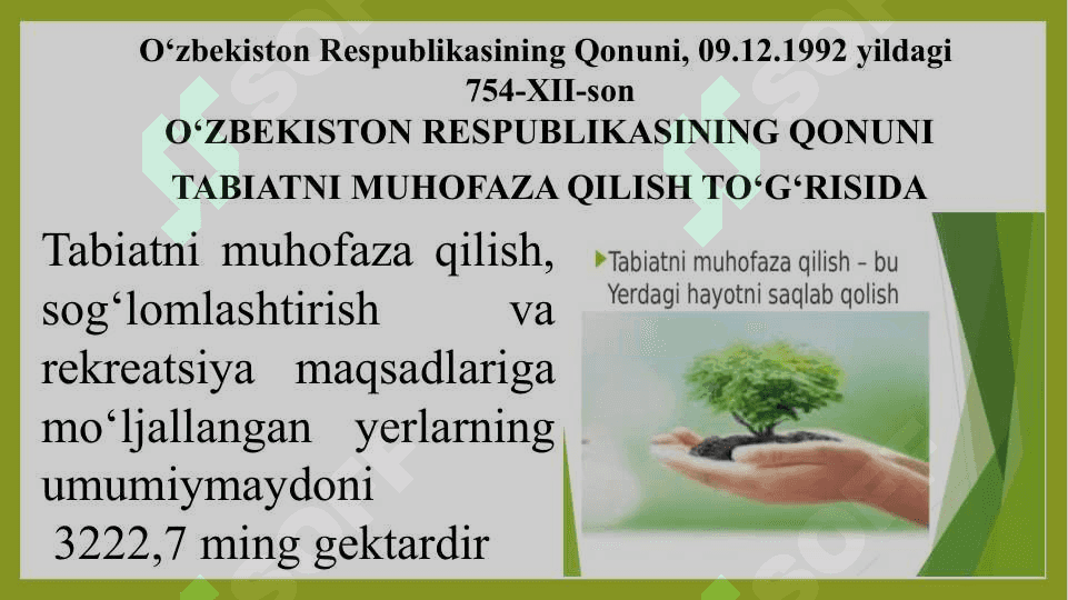 Tabiatni muhofaza qilish va sog’lomlashtirish maqsadlariga mo’ljallangan yerlarning huquqiy holati 2