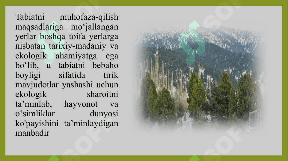 Tabiatni muhofaza qilish va sog’lomlashtirish maqsadlariga mo’ljallangan yerlarning huquqiy holati 7