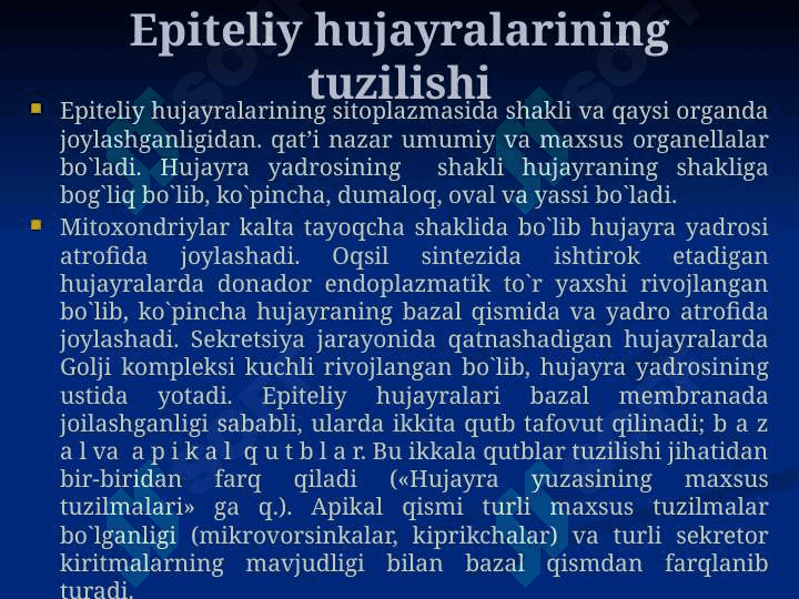 Ko’p qavatli epiteliy 4