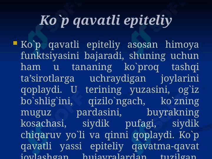 Ko’p qavatli epiteliy 5