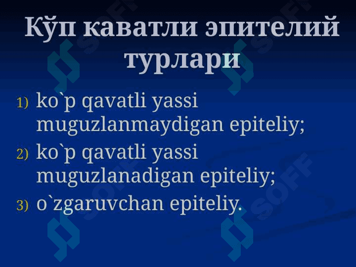 Ko’p qavatli epiteliy 6