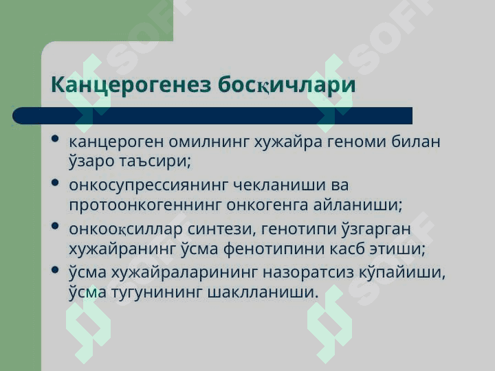 Гемобластозы 4