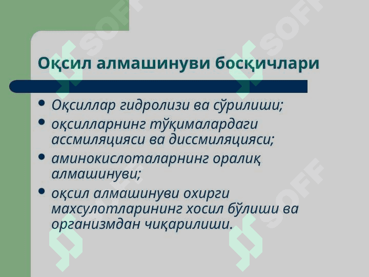 OQSIL ALMASHINUVI PATOFIZIOLOGIYASI 3