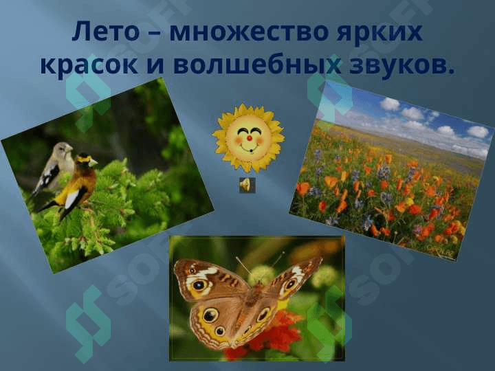 Моё любимое время года 4