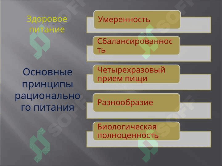 Здоровый образ жизни и его составляющие 6