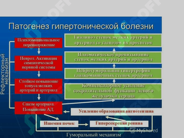 Гипертония касаллиги 4