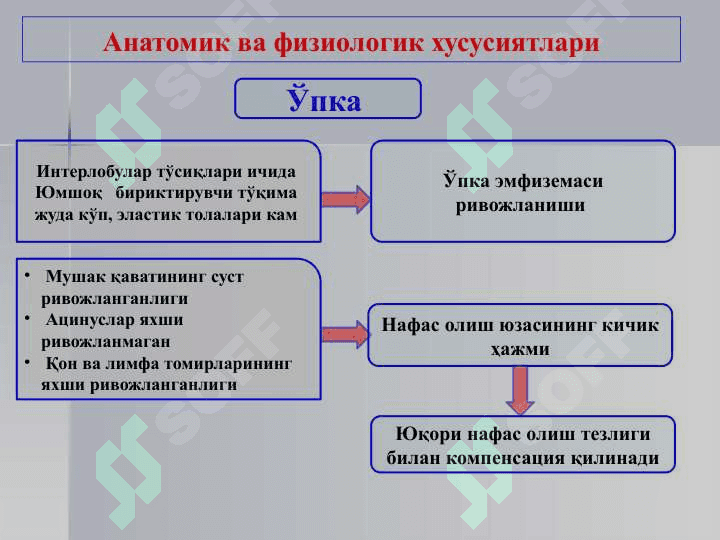 БОЛАЛАРДА ПНЕВМОНИЯ 4