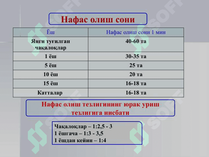БОЛАЛАРДА ПНЕВМОНИЯ 7