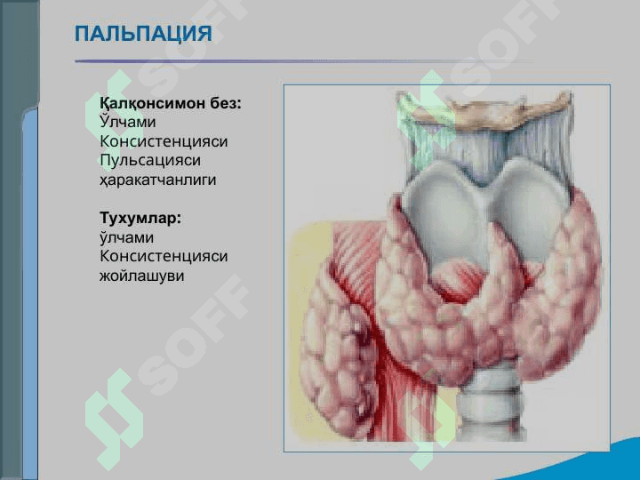 Эндокрин тизими касалликлари бўлган беморларни текшириш. Қандли диабет, гипо ва гипертиреознинг асосий клиник симптомлари 4