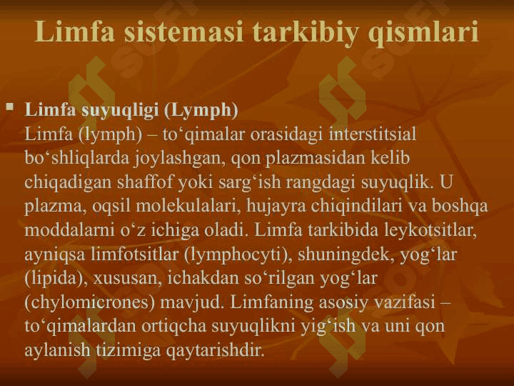 limfa sistemasi 6