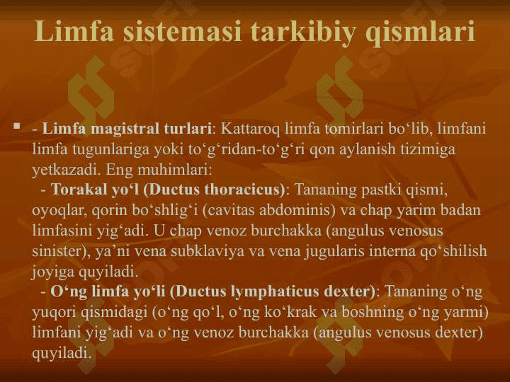 limfa sistemasi 8