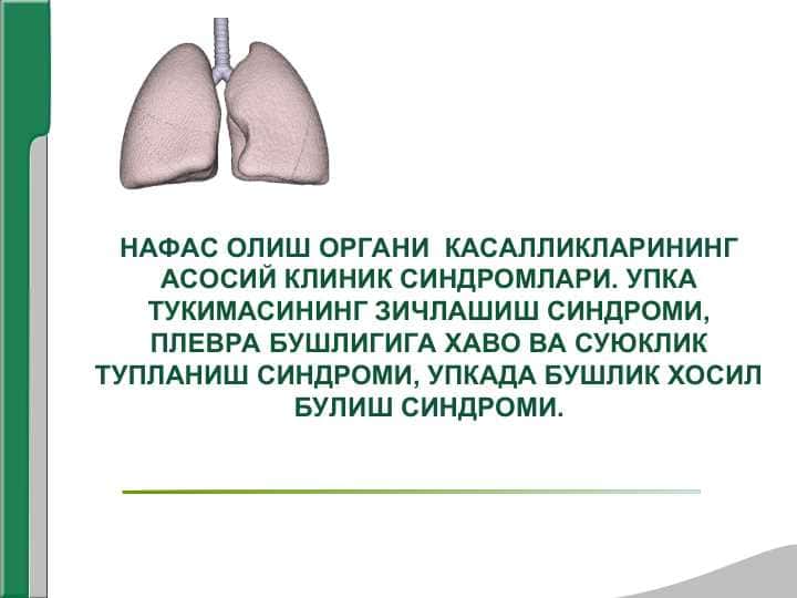 НАФАС ОЛИШ ОРГАНИ  КАСАЛЛИКЛАРИНИНГ АСОСИЙ КЛИНИК СИНДРОМЛАРИ. УПКА ТУКИМАСИНИНГ ЗИЧЛАШИШ СИНДРОМИ, ПЛЕВРА БУШЛИГИГА ХАВО ВА СУЮКЛИК ТУПЛАНИШ СИНДРОМИ, УПКАДА БУШЛИК ХОСИЛ БУЛИШ СИНДРОМИ