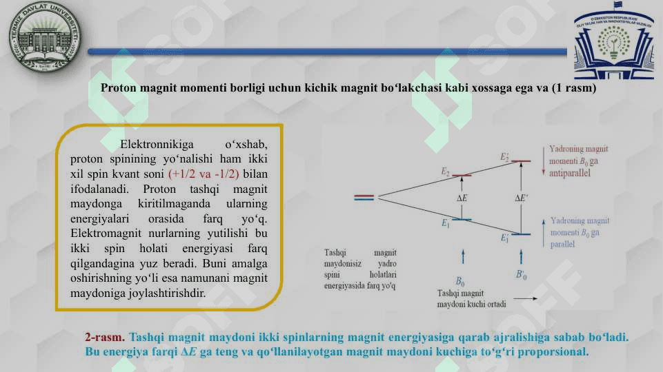 Moddalarning YaMR spektr olish 3