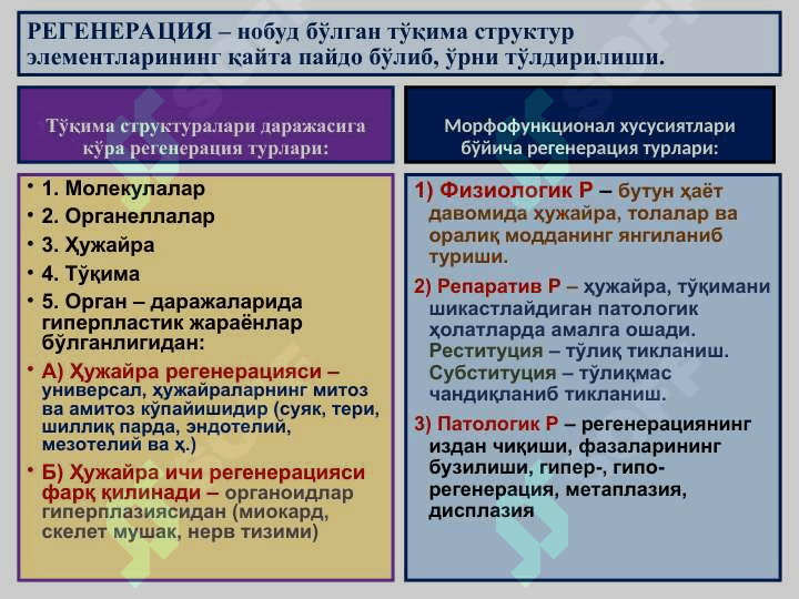 MOSLANISH-O`RIN ALMASHINISH JARAYONLARI. 3