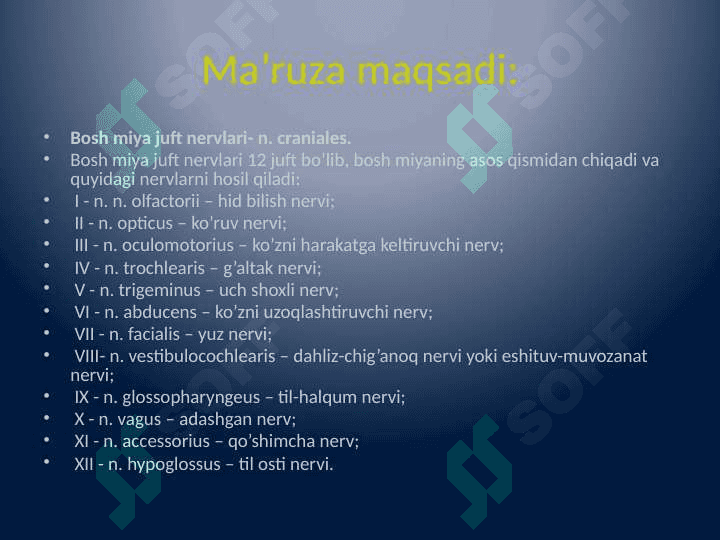 Bosh miya juft nervlarining funktsional anatomiyasi 2