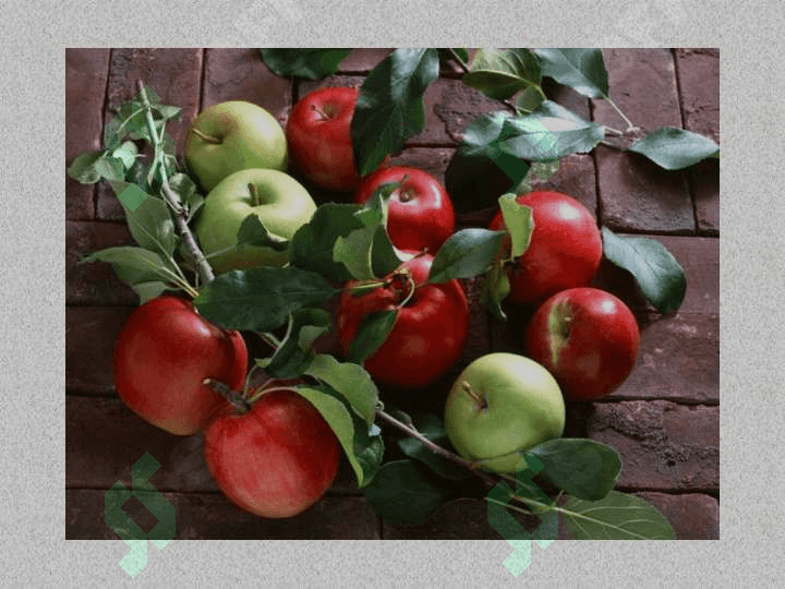 Food 7