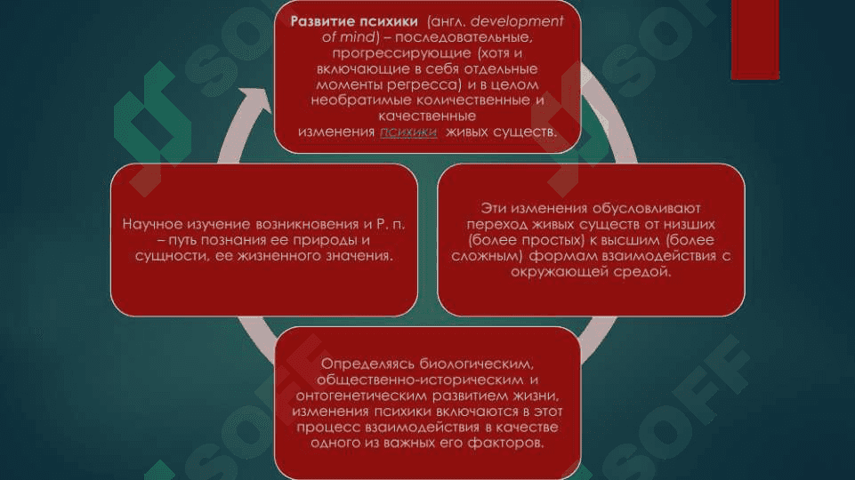 Развитие психики 3