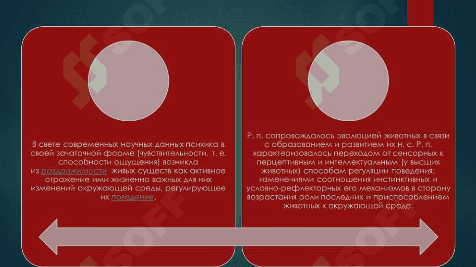Развитие психики 4