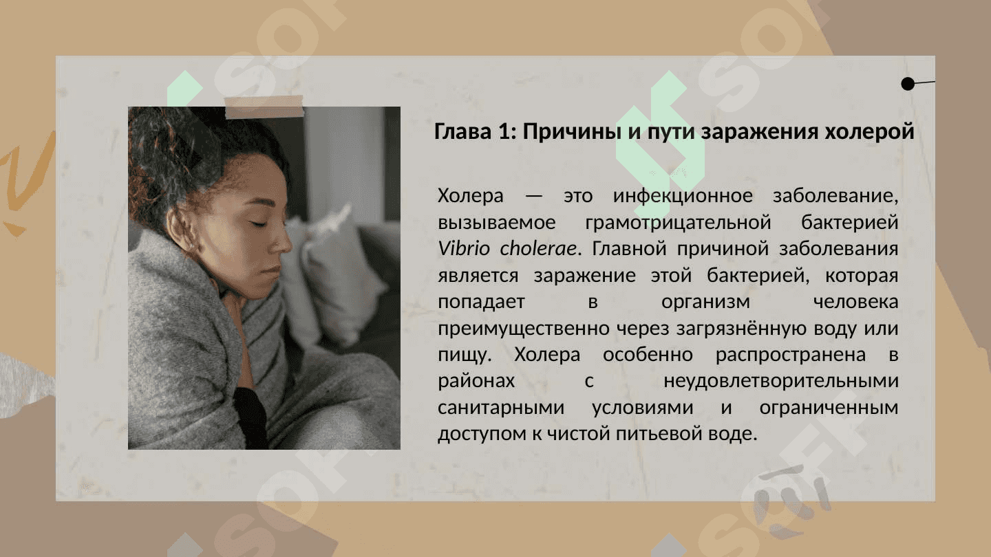Холера 4