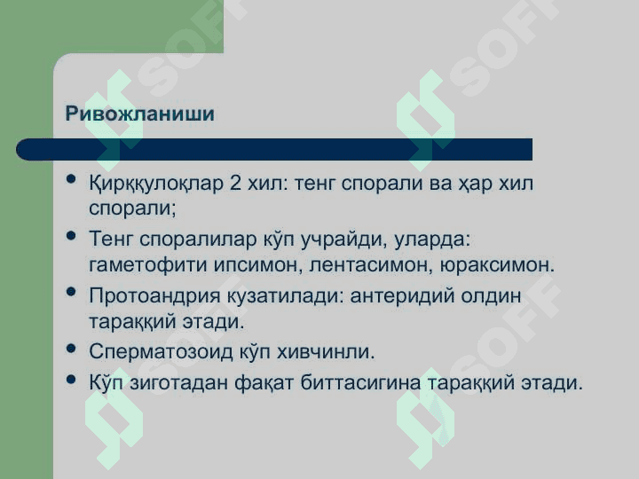 Қирққулоқтоифа ўсимликлар (Polypodiophyta) бўлими(презентация) 7