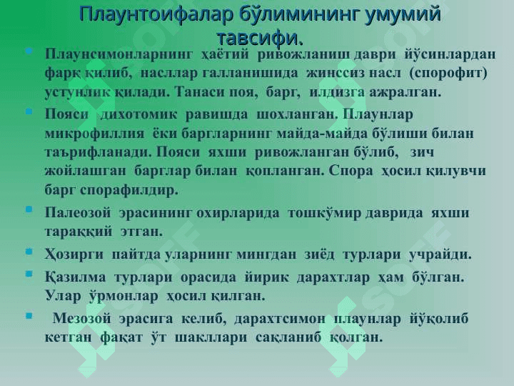 Плаунтоифа (Lycopodiophyta) ўсимликлар 3