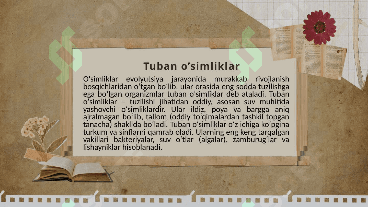 Tuban oʻsimliklar.Yuksak oʻsimliklar. 3